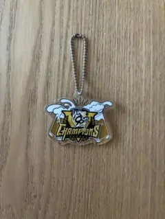 阪神タイガース 乾杯キャンペーン 優勝記念 ！！！　2025年