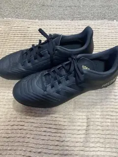 2026年最新】サッカースパイク アディダスプレデターピンクの人気