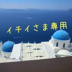イチイさま専用