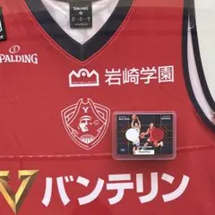 Item thumbnail for item 7110d812-5ca2-4324-9ad7-6aee48af1dfa