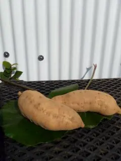 種子島産安納芋　紅＆黄金　農薬不使用　2S5キロ