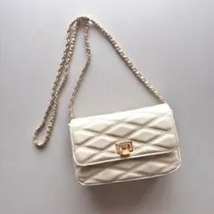 Coach chain shoulder Strawbag Tern Rock - メルカリ