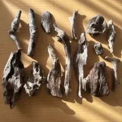 Item thumbnail for item 063e9a31-961f-4538-8e98-12a342913d95