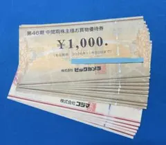 ビックカメラ 株主優待券 13000円のサムネイル