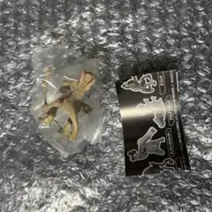 スターウォーズ デジャリックホロチェス