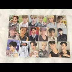 ディノ トレカ セット