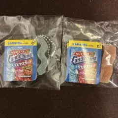 Kanro カンデミーナ Candemina グミマスコット 2点セット