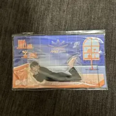 SnowMan 向井康二 アクスタ