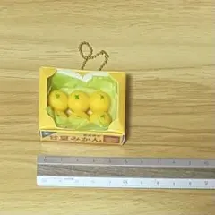 ガチャガチャ 甘夏みかん