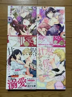 絡まる執愛、孕むまで抱く 黙って僕に甘やかされて TLコミック 女性漫画