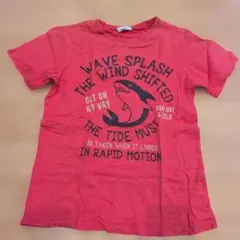 3can4on サメプリント Tシャツ レッド 140のサムネイル