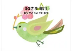 レスポートサック　トートバッグ　ポーチ　2点セット　LeSportsac