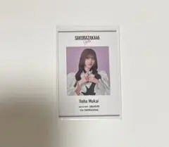 櫻坂46 櫻坂カフェ IDカード 向井純葉