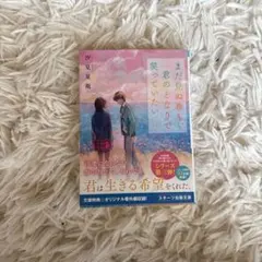 まだ見ぬ春も、君のとなりで笑っていたい