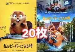 私がビーバーになる時　フライヤー 20枚セット
