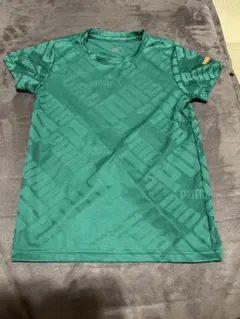 Item thumbnail for item dbdfb650-3f72-49db-94b1-bf29f4defa73