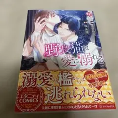 野良猫は愛に溺れる