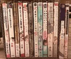 バラ売り〇 13巻セット 商業BL まとめ売り