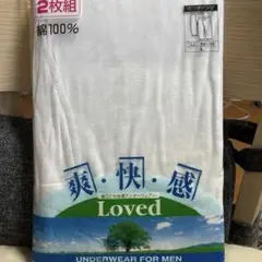 肌着　メンズ　ロングパンツ　L 綿100% 2枚組