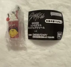 SKZOOレトログラスミニチュアチャーム ポガリ straykids