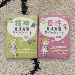 精神看護実習 母性看護実習 クイックノート 2冊セット