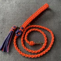 Item thumbnail for item fadbf62f-d8bc-46ba-b646-5a2f77e78dfb