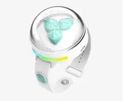 DAY6 OFFICIAL LIGHT BAND VER 3