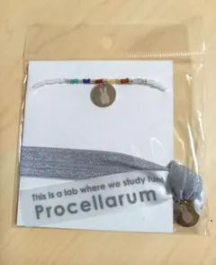 Item thumbnail for item f3edbe58-49db-4a61-b829-f0f0cb865bec