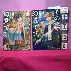 その霊、幻覚です。1巻・2巻セット