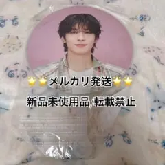 SEVENTEEN　ケレン　ウォヌ　うちわ CARAT LAND 2024