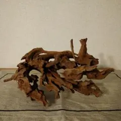 一点物 天然木 切り株 置物 オブジェ 根っこ - メルカリ