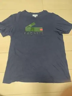 LACOSTE ラコステ Tシャツ ニット 2点セット