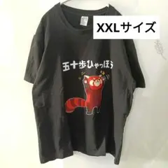 五十歩ひゃっほう　メンズ　黒　Tシャツ　 レッサーパンダ　大きいサイズ　XXL