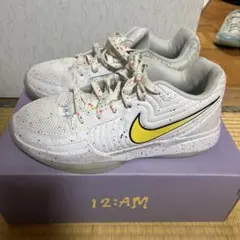 NIKE ジャ2 この靴の相場あまり把握してないので値段交渉で教えてください