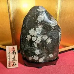 赤花菊花石 ☆ 鑑賞石 菊花石 盆石 - メルカリ