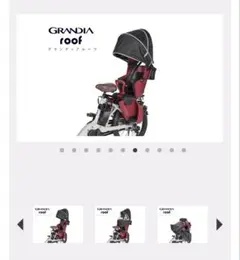 GRANDIA roof レインカバー　YRCR-010黒のサムネイル