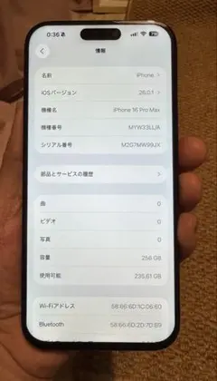 海外版iPhone 16 Pro Max 256GB，極美品，バッテリー96％