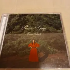 Mariya Takeuchi Precious Days