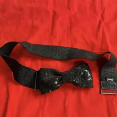 Item thumbnail for item f89b1785-fa99-4502-b9c7-af1eee6d114c