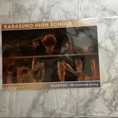 ハイキュー ゴミ捨て場の決戦展 スナップカード 烏野高校