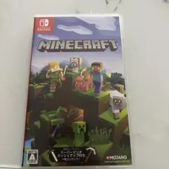 Switch マインクラフト