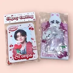SEVENTEEN セブンティーン スンチョル　エスクプス　まとめ売り セット SEVENTEEN セブチ スンチョル エスクプス トレカ まとめ売り