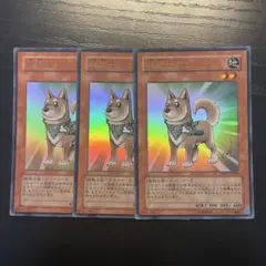 遊戯王　柴戦士タロ　YAPウルトラレア3枚