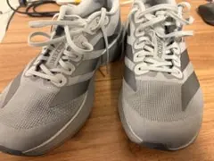 adidas evo SL 26cm