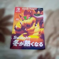 ニンテンドーマガジン その他