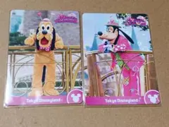 ミニーのファンダーランド　パルパルーザ　グーフィー　プルート　カード　ミニファン