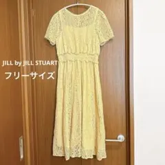 JILL by JILL STUART ウェイビーストライプレースワンピース