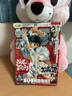 週刊少年サンデー 2025年41号