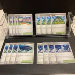 ポケモンカード エキサイトスタジアム 活力の森　グラビティマウンテンゼロの大空洞
