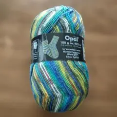 Opal　毛糸　オパール　Hundertwasser 1433